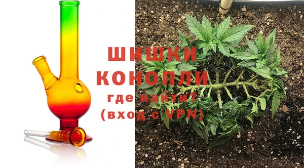 PSILOCYBIN Белокуриха